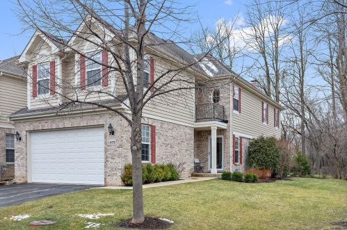 478 Fontenay Way, Palatine, IL 60067-2418