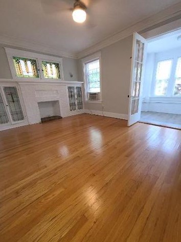 1303 Cornelia Ave, Chicago, IL 60657-1401