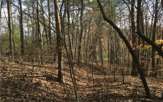100 Outback Rd, Big Canoe, GA 30143-2229