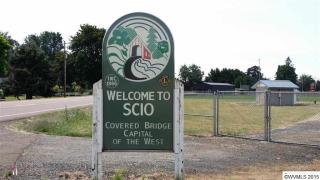 38675 Elderberry St, Scio, OR 97374-3907