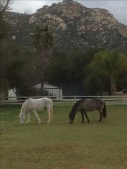 555 Cleveland Ave, Escondido, CA 92026-1475