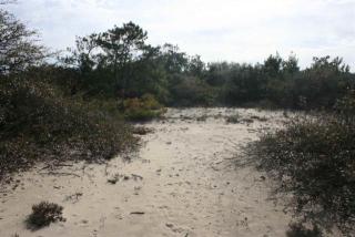 2345 Carova Rd, Corolla, NC 27927-9319