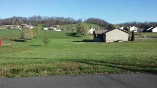 6509 Peterson Rd, Greenback, TN 37742-2414