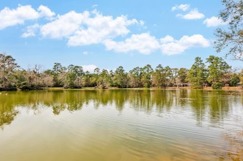 17624 White Perch Lk Dr, Conroe TX  exterior
