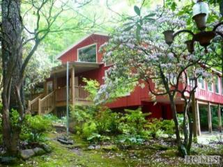 13 Dogwood Ln, Sapphire, NC 28774-9656