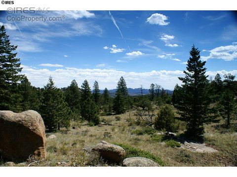 22 Mount Apiatan Ct, Red Feather Lakes CO  80536-8669 exterior