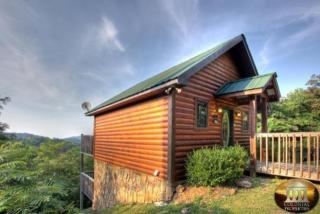 2459 Shady Creek Way, Pigeon Forge, TN 37862-8080