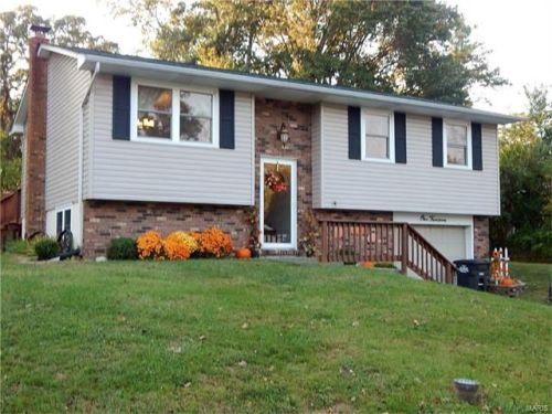 114 Lakewood Dr, Miles Station, IL 62012-1146