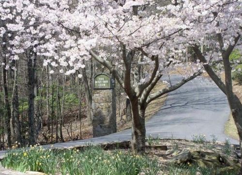 550 Fairway Dr, Big Canoe GA  30143-7946 exterior