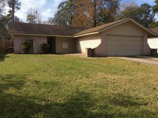 23011 Naples Dr, Spring TX  77373-6872 exterior