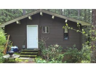 140 Duckabush Dr, Cushman Dam, WA 98548-9637
