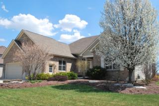 1212 Bush Blvd, Lemont IL  60490-3298 exterior