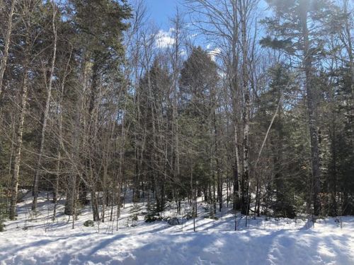 101 Sandy Acres Dr, Sullivan, ME 04664-3754