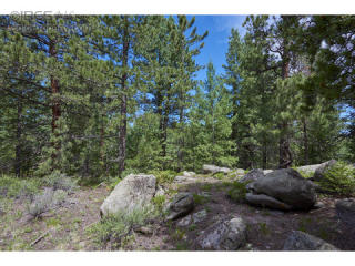 2844 Ridge Rd, Nederland, CO 80466-9741