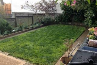 2317 15th St, San Francisco CA  94114-1223 exterior
