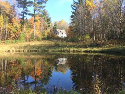 365 Cape Moonshine Rd, Wentworth, NH 03282-3108