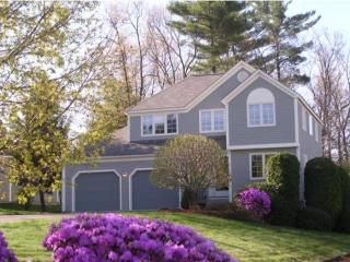 100 Ledgewood Hills Dr, Nashua, NH 03062-4439