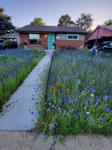 7021 Zuni St, Denver CO  80221-7402 exterior