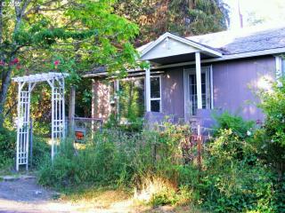 421 Wells Rd, Oakland, OR 97462-9841