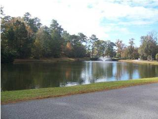 4799 Stono Links Dr, Meggett, SC 29449-5985