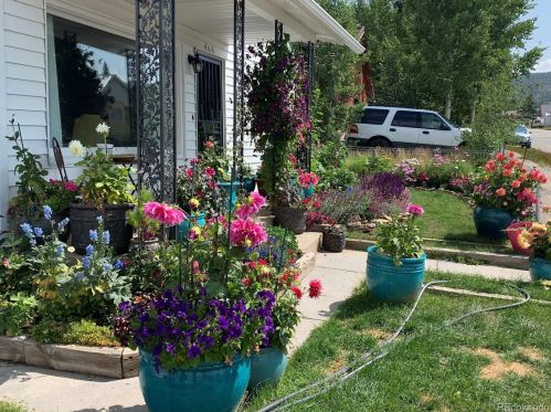 408 Chestnut St, Leadville, CO 80461-3902