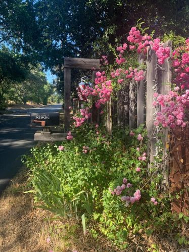 3155 Mueller Rd, Sebastopol, CA 95472-2429
