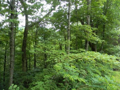 3 Dillard St, Sylva, NC 28779-2818