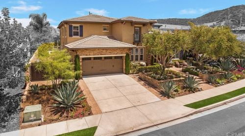 29221 Via Zamora, San Juan Capistrano, CA 92675-5560