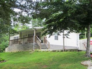 1150 Tranquility Hills Way, Cosby, TN 37722-3936