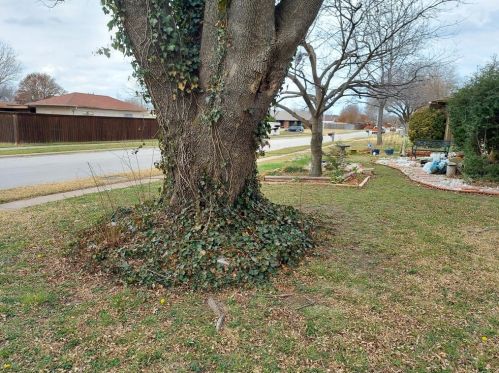 2206 Limestone Ln, Garland, TX 75040-3763