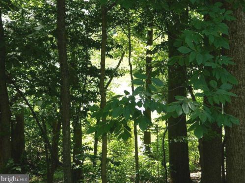 9039 Giltinan Ct, Springfield VA  22153-1138 exterior