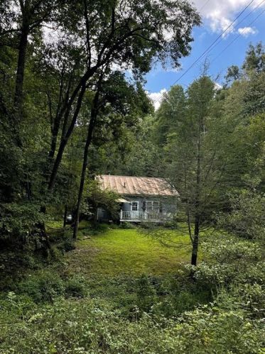 2145 Pleasant Gap Cir, Ellijay, GA 30540-2977