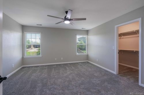 24738 Layton Pl, Denver CO exterior