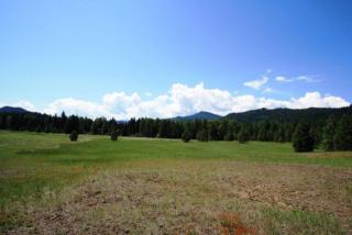 12211 Allen Rd, Plain, WA 98826-9547