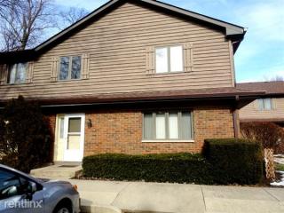 322 Airlite St, Hoffman Estates IL  60123-4971 exterior