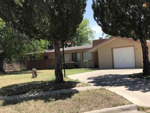201 Riverside Dr, Carlsbad, NM 88220-5251