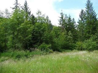 7752 Wilderness Dr, Concrete, WA 98237-9375