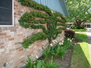 7606 Braesview Ln, Houston TX  77071-1409 exterior