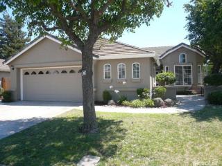 2590 Douglas Fir Dr, Lodi, CA 95242-8315