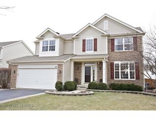 62 Briarwood Dr, Gilberts, IL 60136-4047