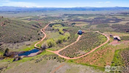1794 Red Nose Mesa Ln, Red Feather Lakes, CO 80536-8968
