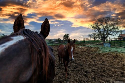 10566 Cherokee Ln, Parker CO 80138-6811 exterior