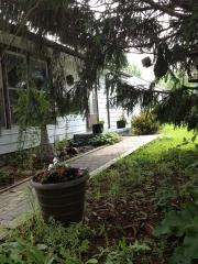 5629 Gail Ave, Monee, IL 60449-9612