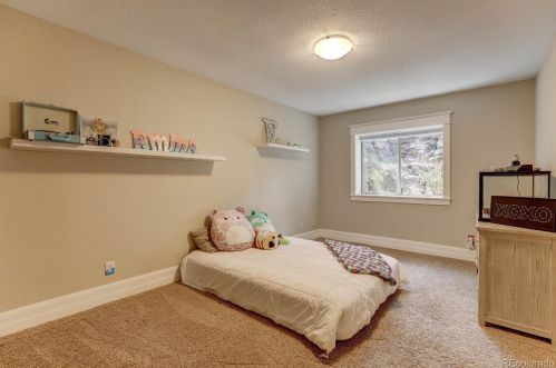 1208 Carnahan Ct, Woodmoor CO  80132-2217 exterior