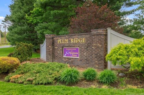 1006 Sand Stone Dr, Wapping CT  06074-2872 exterior
