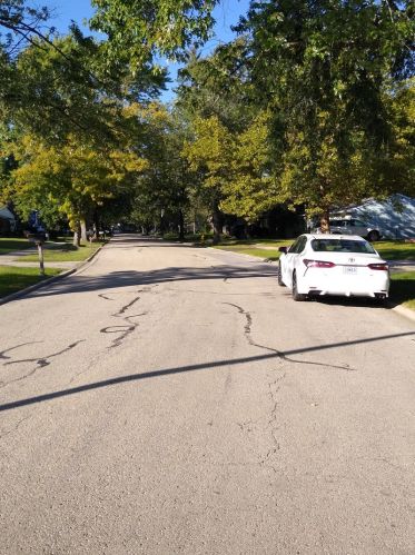 152 Larchmont Way, Lemont, IL 60440-2669