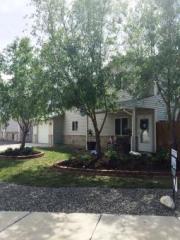 507 Rosin Ct, Clifton, CO 81520-8456