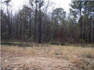 287 Sassafras Ct, Walterboro, SC 29488