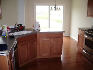 15129 Pinewood Rd, Romeoville IL  60441-1304 exterior