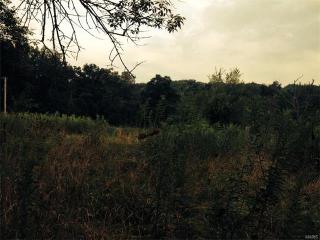 1000 Dermont Dr, Bloomsdale, MO 63627-9438